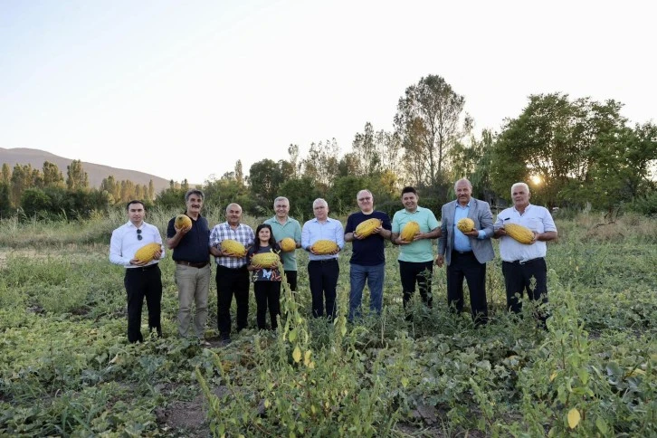 Akıncılar Kavunu Bir Marka