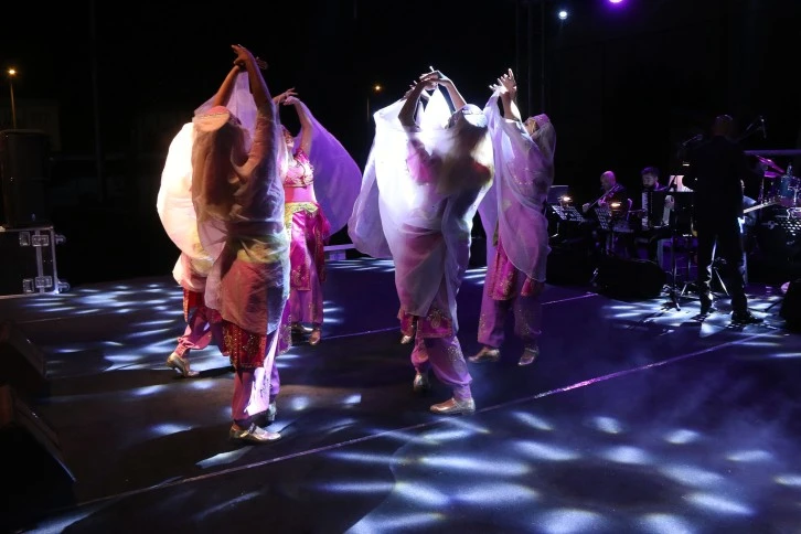 Aşık Veysel Festivalle Anıldı