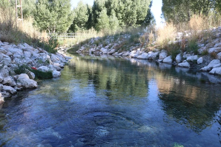 Sivas'ta Bozkırın Ortasında Vaha