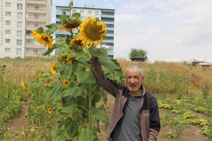Sivas'tan İsrail'e Kafa Tutuyor
