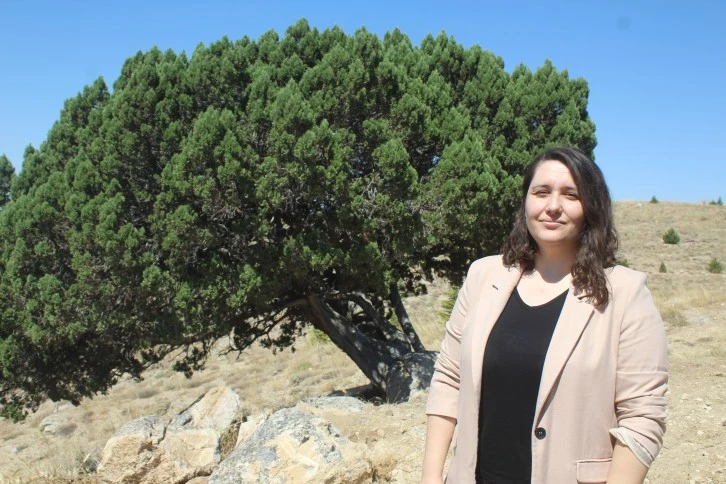 700'üncü Yaşında Tescillendi