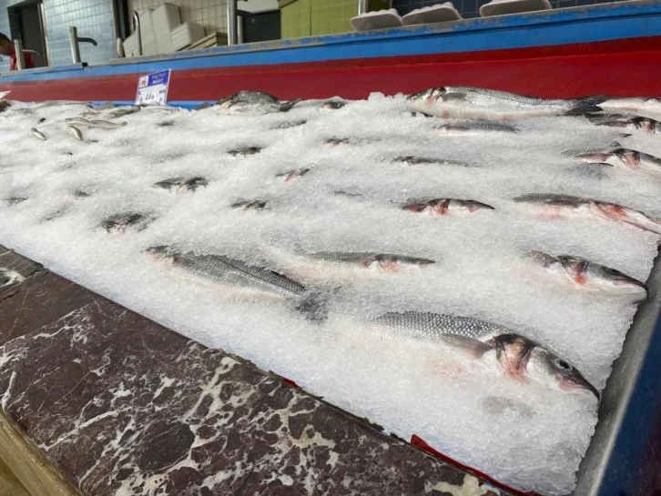 Balıkçılar Bu Sezon Umutlu