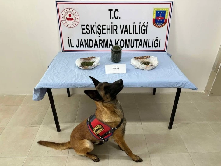 Keneviri Ekip Esrar Olarak Satan Şahıs Yakalandı