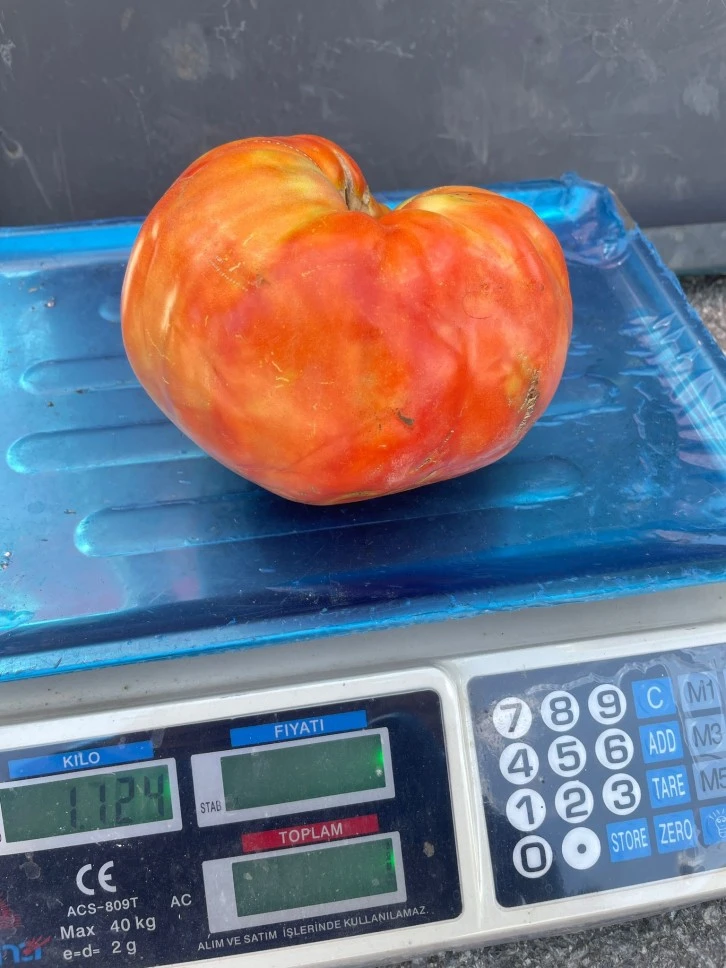 Sivas'ta Üretildi Tam 1 Kilo 124 Gram