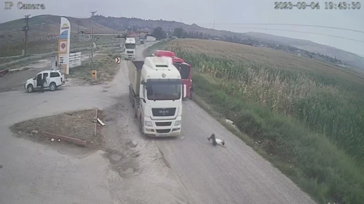 Yolun Karşısına Geçmeye Çalışırken Tır Çarptı
