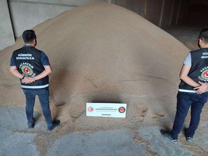 84 Ton Ekmek Buğdayı Yakalandı