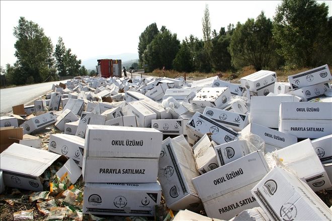 ÜZÜM YÜKLÜ TIRI DEVRİLDİ: 1 YARALI