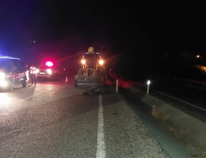 Aniden Yola Çıkan Eşek Kazaya Neden Oldu