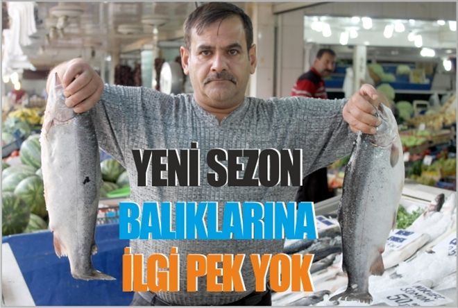 YENİ SEZON BALIKLARINA İLGİ PEK YOK