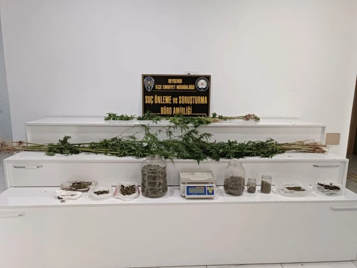 Ceviz Değil Uyuşturucu  Bahçesi Çıktı