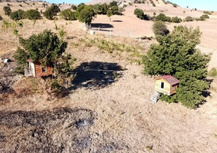 Meşe Ağacına Ev Kurdular