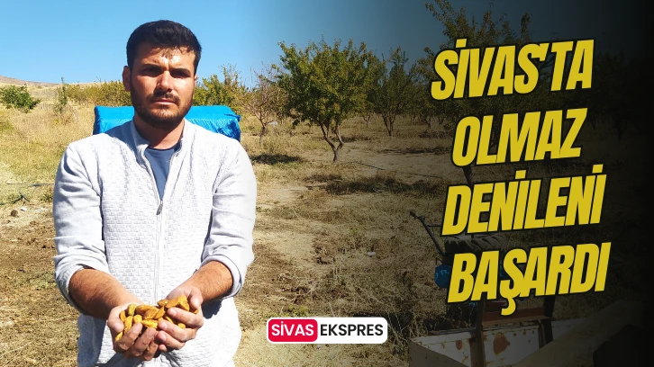 Sivas'ta Olmaz Denileni Başardı