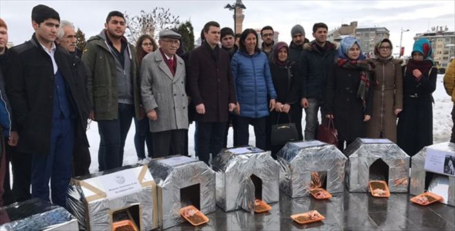 AK GENÇLİK´TEN KEDİ ve KÖPEKLERE BARINAK ve MAMA