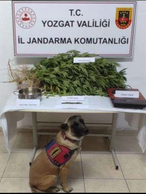 Uyuşturucu Operasyonunda 1 Kişi Tutuklandı