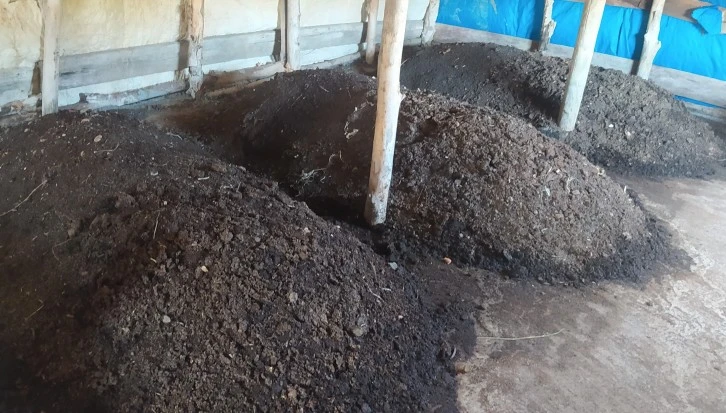 Sivas'ta Kurduğu Tesiste Yıllık 15 Ton Solucan Gübresi Üretiyor
