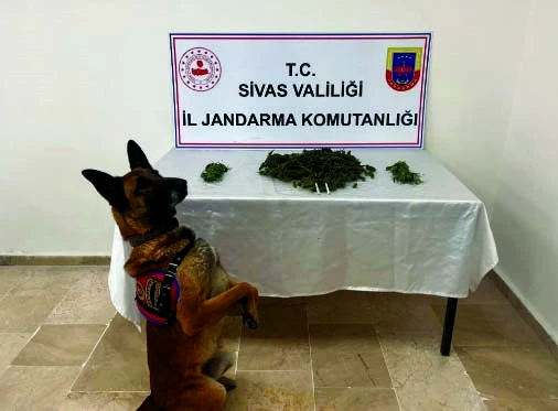 Sivas'ta Uyuşturucu Operasyonu