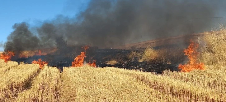 Anız Yangında 6 Dönüm Arazi Kül Oldu