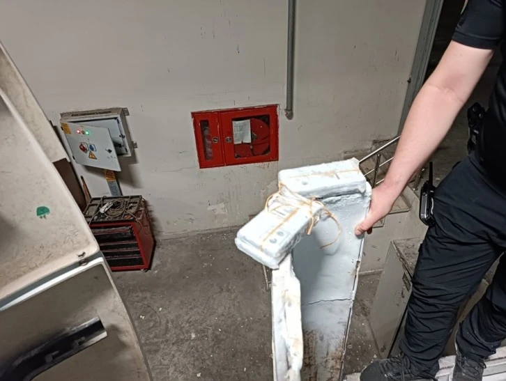 Deprem Bölgesine Psikoeğitim Destek Programı