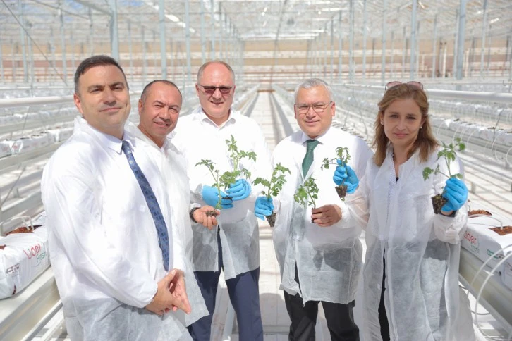 Çöpten Üretilen Enerjiyle Domates Yetiştirilecek