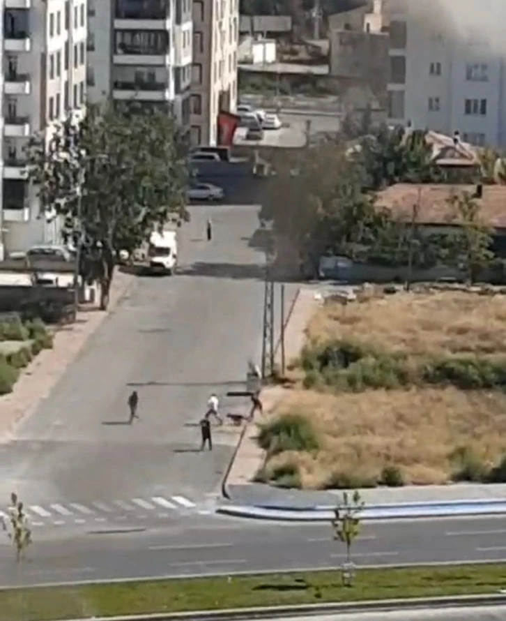 Köpeğin Gence Saldırdığı Anlar Kamerada