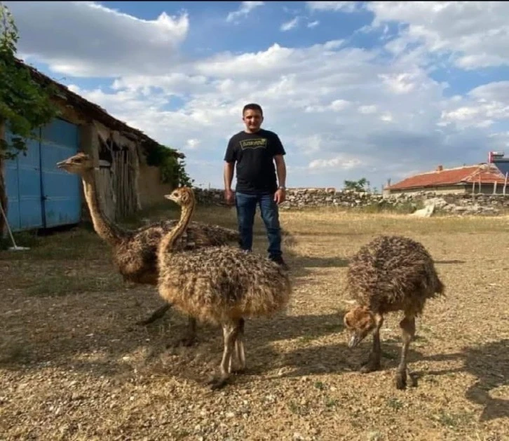 Deve Kuşunu Yakalayamayınca Vurdurdu