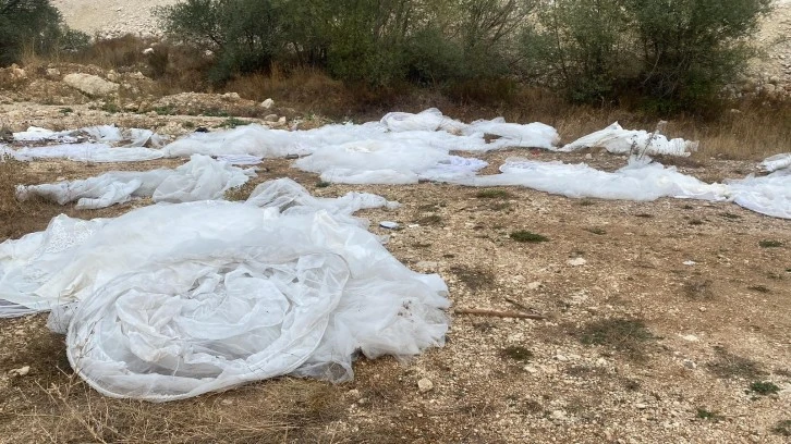 Sivas'ta Bir Garip Olay - Onlarca Gelinliği Tavra Deresine Attılar