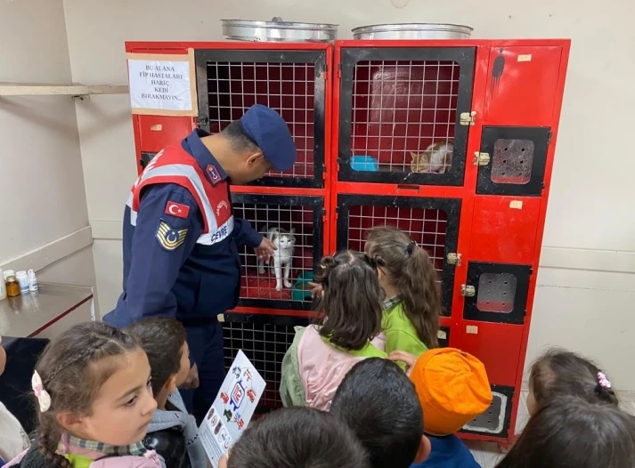 Jandarma Hayvan Sevgisi Aşıladı