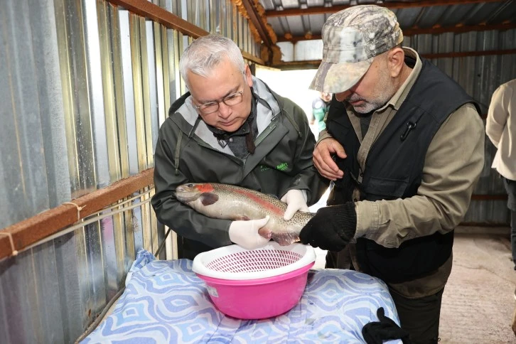 Vali Şimşek Balık Sağdı