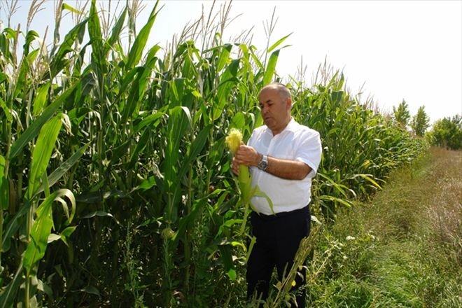 BU PROJE, ÇİFTÇİYE MODEL OLDU