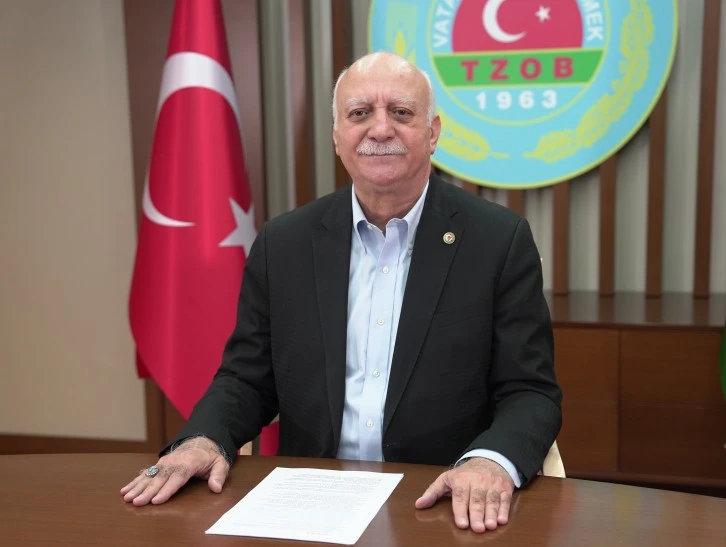 Kahverengi Kokarca Fındığa Zarar Veriyor