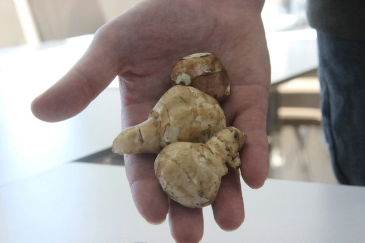 Sivaslılar Dikkat! Bu Meyve Yaşlanmayı Önlüyor