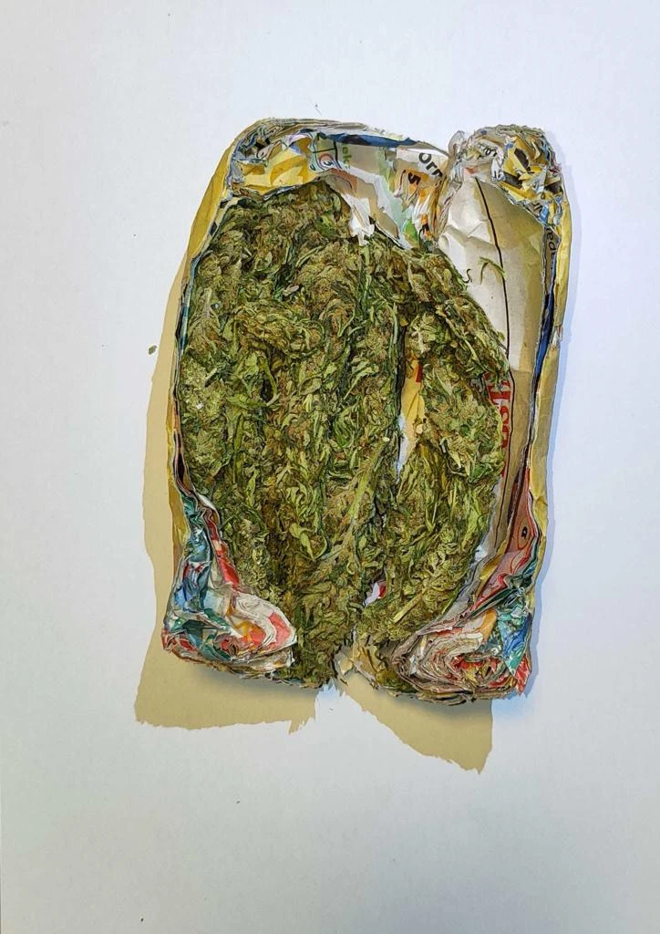 Sivas'ta Yolcu Otobüsünde Esrar Yakalandı