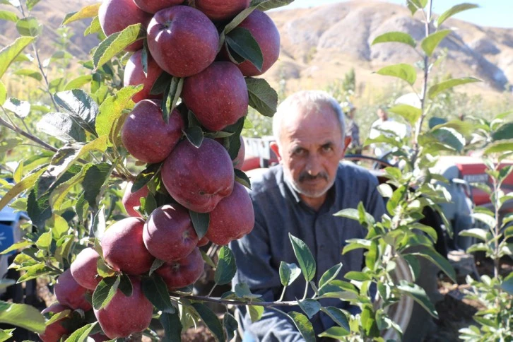 İnat Etti Sivas'ta 7 Bin 500 Fidan Dikti