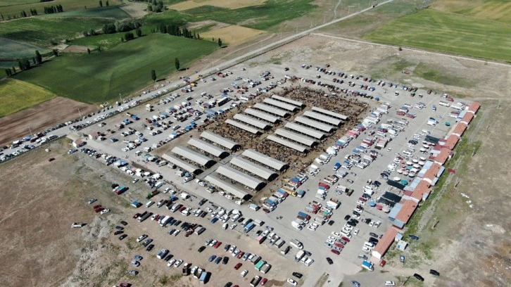 Sivas'ta Hayvan Pazarları Yeniden Açılıyor