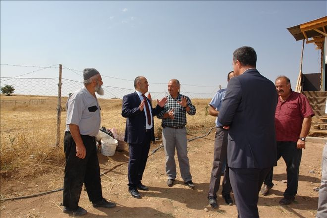 310 PROJE İÇİN 9 MİLYON 300 BİN LİRALIK BÜTÇE