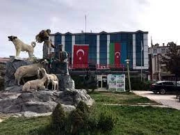 Kangal Belediyesiyle İlgili Bomba İddia