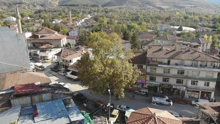 Geçmişte Darağacı Olarak Kullanıldı