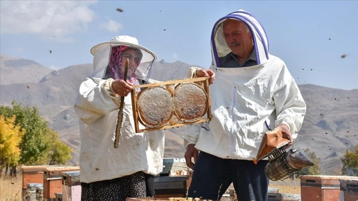 Birlikte Arıcılık Yapıyorlar
