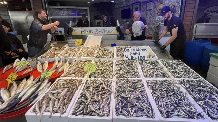 Hamsinin Üç Kilosu 100 Lira