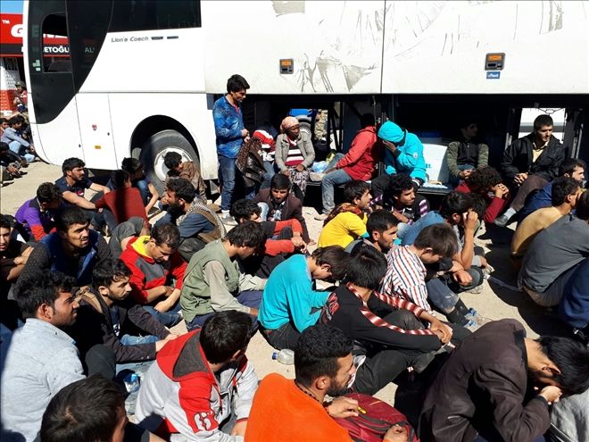 YOLCU OTOBÜSÜNDE 181 KAÇAK YAKALANDI