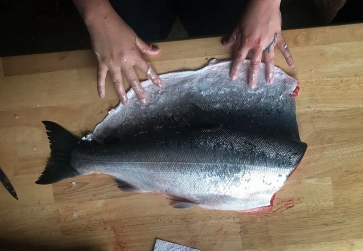 Balık Derisinin Şaşırtan Faydaları