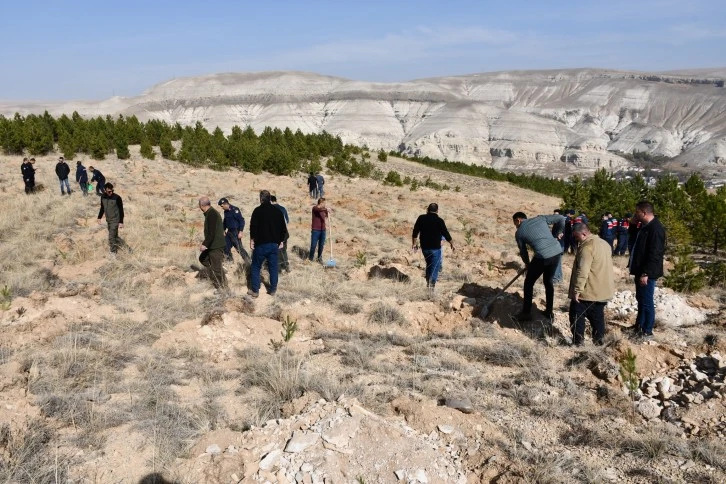 Gürün'de 65 Bin Fidan Toprakla Buluştu