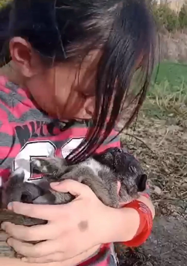 Yavru Köpeğe Ninni Söylediler