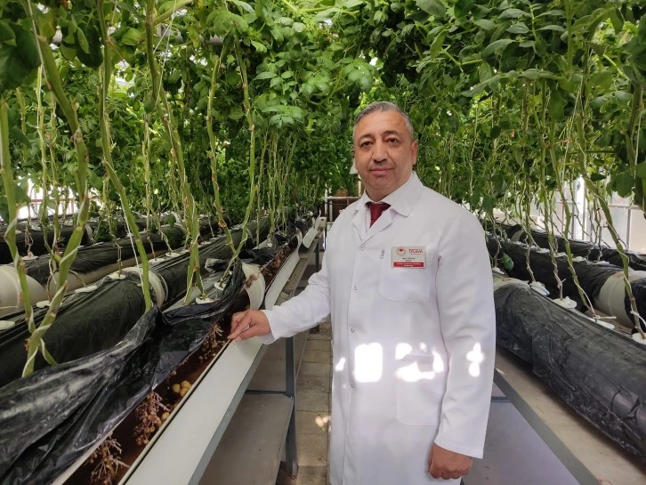 Topraklar Tarımla Patates Üretimi Arttı