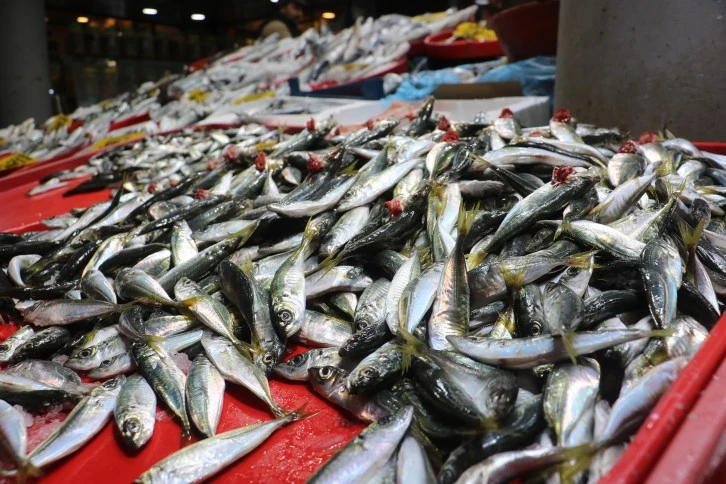 Sivas'ta Tezgahlarda Balık Bolluğu