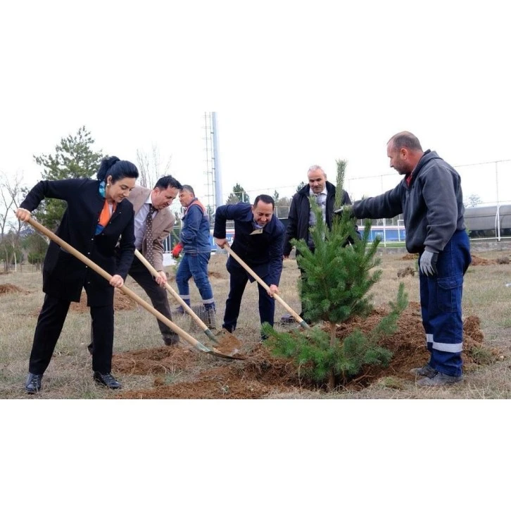 Eczacılar Odası Fidan Dikti
