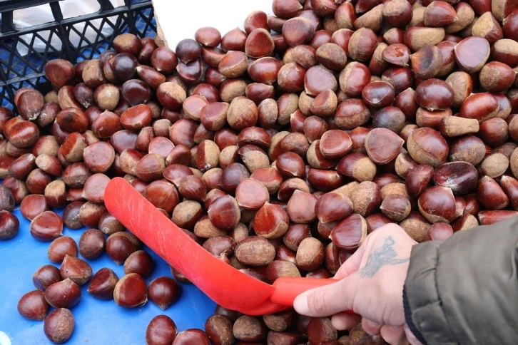 Kestanenin Kilosu 150 Lira