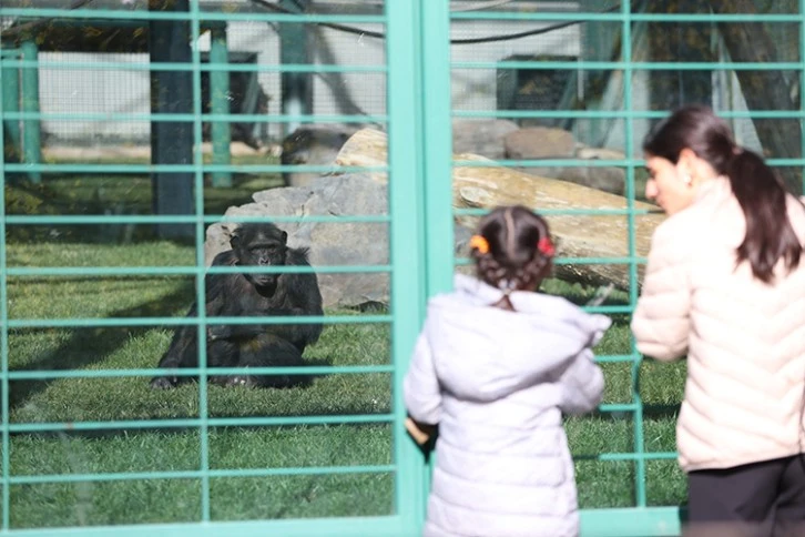 6 Milyon Ziyaretçi Hedefi