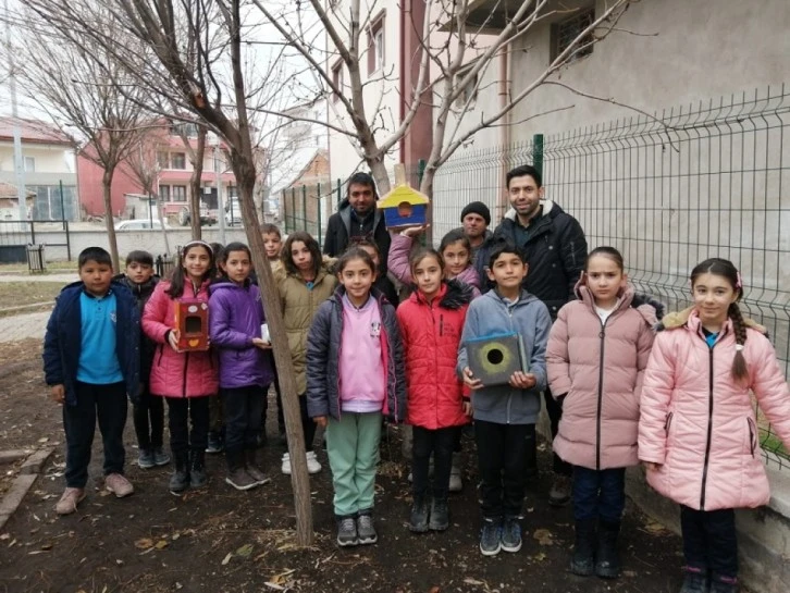 Ağaçlara Kuş Yuvası Astılar