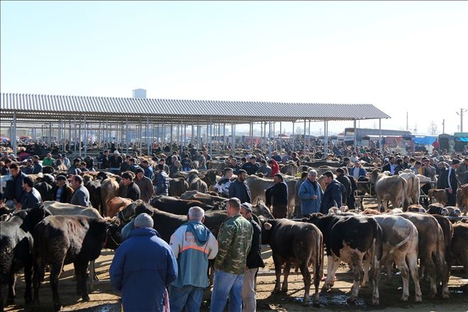 KIRMIZI ET ÜRETİCİLERİ BİRLİĞİ BAŞKANI BEYAZIT, BESİCİLERLE BULUŞTU